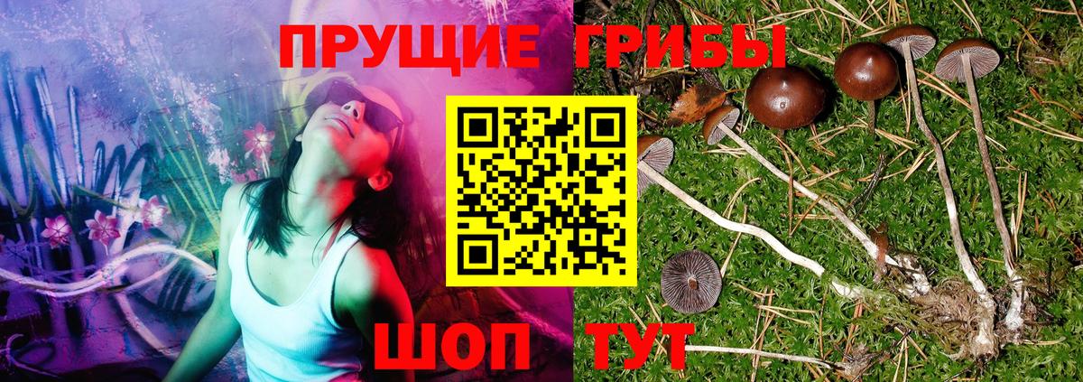 Галлюциногенные грибы мухоморы  Псилоцибиновые грибы MAGIC MUSHROOMS  Когалым  Вход с VPN 